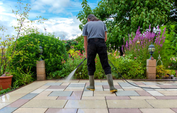 Best Driveway Pressure Washing  in Dimondale, MI